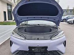 BYD Dolphin 07 EV 705 Flagship - ფოტო 2
