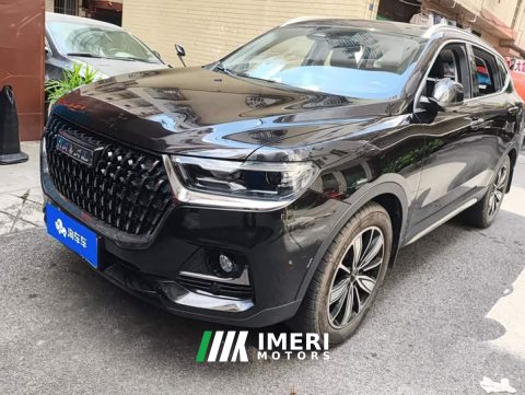 2024 Haval H6 2023 National Trend Edition 1.5T Automatic Champion Version - ავტომობილი ჩინეთიდან