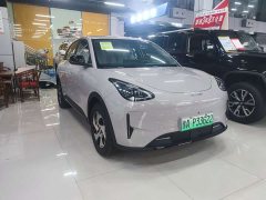 Geely Star Wish 480km Explorer Edition - ფოტო 3