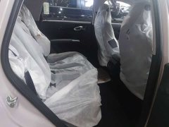 Geely Star Wish 480km Explorer Edition - ფოტო 5