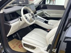 Denza BYD Denza N9 Flagship - ფოტო 3