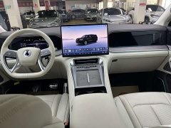 Denza BYD Denza N9 Flagship - ფოტო 6
