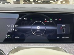 Denza BYD Denza N9 Flagship - ფოტო 8