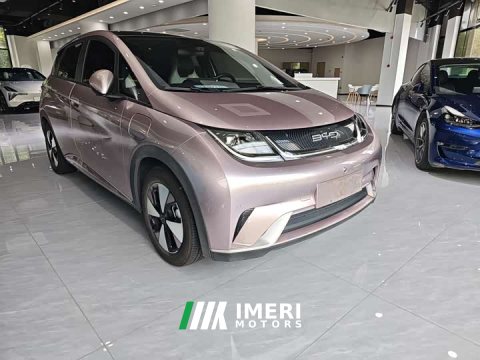 2023 BYD Dolphin 420km Fashion Edition - ავტომობილი ჩინეთიდან