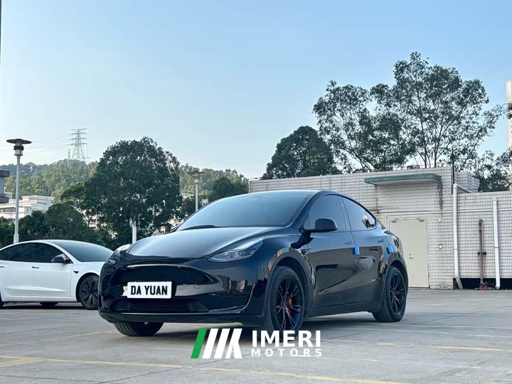 Tesla Model Y Rear-Wheel Drive