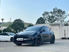 Tesla Model Y Rear-Wheel Drive - ფოტო 1