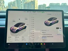 Tesla Model Y Rear-Wheel Drive - ფოტო 12