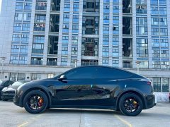 Tesla Model Y Rear-Wheel Drive - ფოტო 3