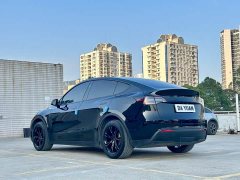 Tesla Model Y Rear-Wheel Drive - ფოტო 7