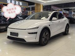Tesla Model Y Long Range All-Wheel Drive - ფოტო 1