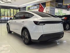 Tesla Model Y Long Range All-Wheel Drive - ფოტო 12