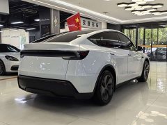 Tesla Model Y Long Range All-Wheel Drive - ფოტო 14
