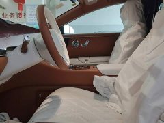 Tesla Zun S800 2025 Extended Range Starlight Executive Edition 4-Seater (192-line LiDAR) - ფოტო 14
