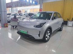 Geely Star Wish 480km Explorer Edition - ფოტო 1
