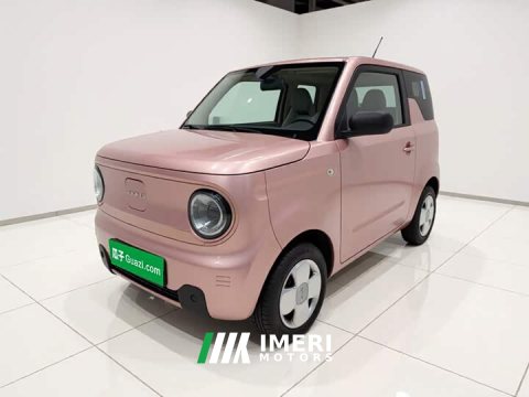 2023 Geely Panda Mini 200km Endurance Edition - ავტომობილი ჩინეთიდან