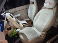 Geely Panda Mini 200km Endurance Edition - ფოტო 11
