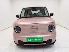 Geely Panda Mini 200km Endurance Edition - ფოტო 2