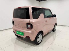 Geely Panda Mini 200km Endurance Edition - ფოტო 4