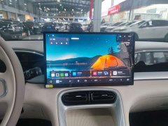 Geely Star Wish 410km Ride the Wind Edition - ფოტო 6