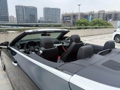Mercedes-Benz E-Class (Imported) E 260 Cabriolet - ფოტო 9