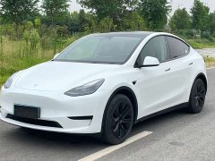 Tesla Model Y Rear-Wheel Drive - ფოტო 1