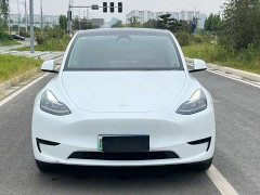 Tesla Model Y Rear-Wheel Drive - ფოტო 2
