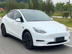 Tesla Model Y Rear-Wheel Drive - ფოტო 3