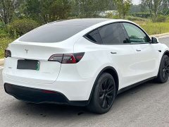 Tesla Model Y Rear-Wheel Drive - ფოტო 7