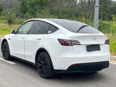Tesla Model Y Rear-Wheel Drive - ფოტო 9