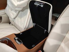 Volkswagen Zun S800 2025 Extended Range Starlight Executive Edition 4-Seater (192-line LiDAR) - ფოტო 16