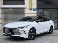 BYD Destroyer 05 Glory Edition DM-i 55KM Luxury - ფოტო 1
