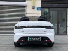 BYD Destroyer 05 Glory Edition DM-i 55KM Luxury - ფოტო 11
