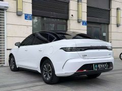 BYD Destroyer 05 Glory Edition DM-i 55KM Luxury - ფოტო 12