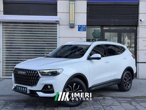2024 Haval H6 2023 National Trend Edition 1.5T Automatic Urban Version - ავტომობილი ჩინეთიდან