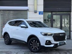 Haval H6 2023 National Trend Edition 1.5T Automatic Urban Version - ფოტო 3