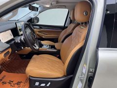 Tank 500 3.0T Business Edition Landscape Trim 5-Seater - ფოტო 6