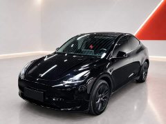 Tesla Model Y 2023 Rear-Wheel Drive - ფოტო 1