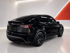 Tesla Model Y 2023 Rear-Wheel Drive - ფოტო 6
