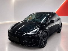 Tesla Model Y Rear-Wheel Drive - ფოტო 1