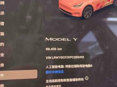Tesla Model Y Rear-Wheel Drive - ფოტო 10