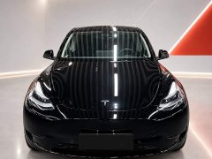 Tesla Model Y Rear-Wheel Drive - ფოტო 2