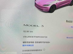 Tesla Model 3 Rear-Wheel Drive - ფოტო 10