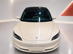 Tesla Model 3 Rear-Wheel Drive - ფოტო 2