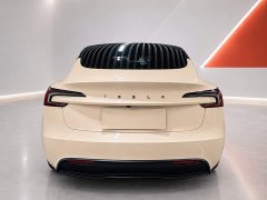 Tesla Model 3 Rear-Wheel Drive - ფოტო 5