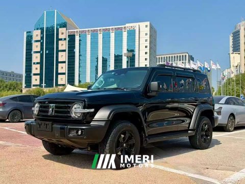 2022 Tank 300 2021 Off-Road Edition 2.0T Conqueror - ავტომობილი ჩინეთიდან