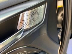 Tank 300 2021 Off-Road Edition 2.0T Conqueror - ფოტო 12