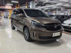 Buick GL8 Land Executive Cabin 652T Luxury - ფოტო 3