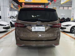 Buick GL8 Land Executive Cabin 652T Luxury - ფოტო 5