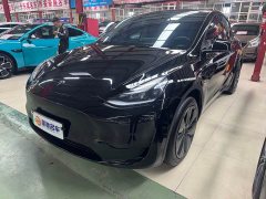Tesla Model Y Rear-Wheel Drive - ფოტო 1