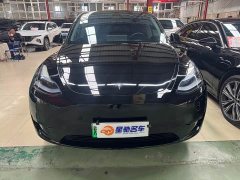 Tesla Model Y Rear-Wheel Drive - ფოტო 2